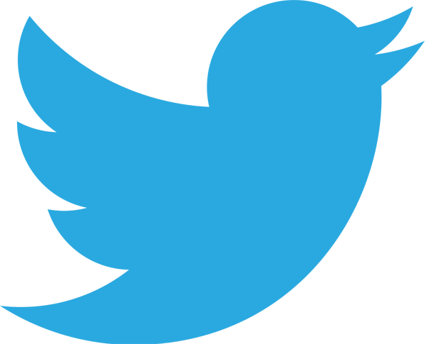 Twitter logo Social Media Steve Sot Websites